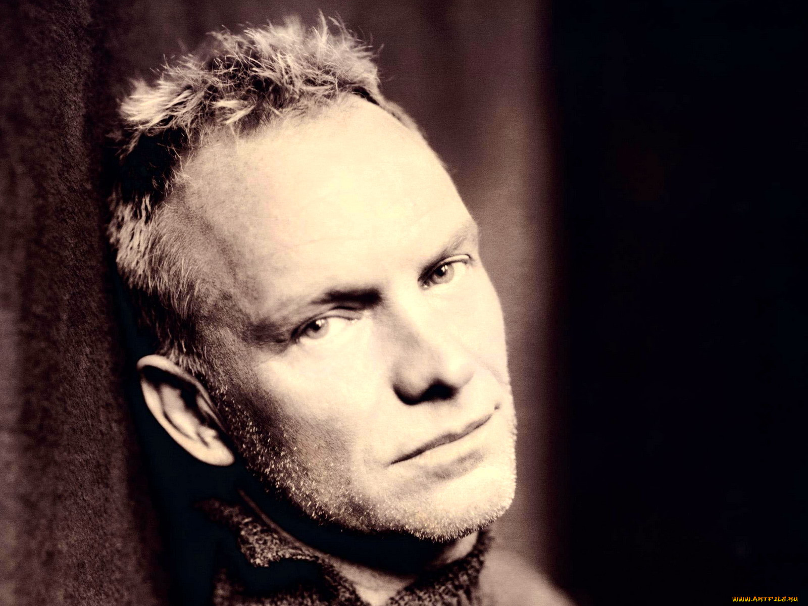 sting, 